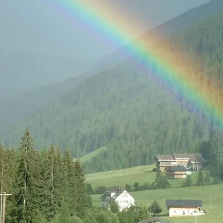 Daniela Mair Daire *