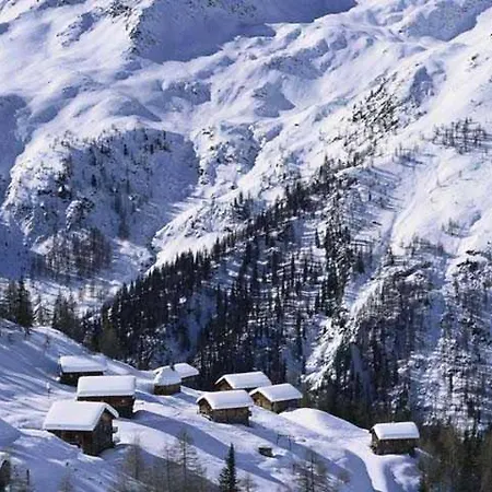 Daniela Mair Daire *